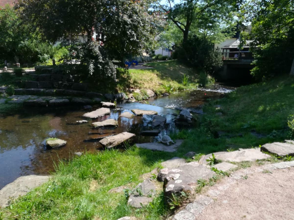 Am Sommerberg Unterkirnach Ngoại thất bức ảnh